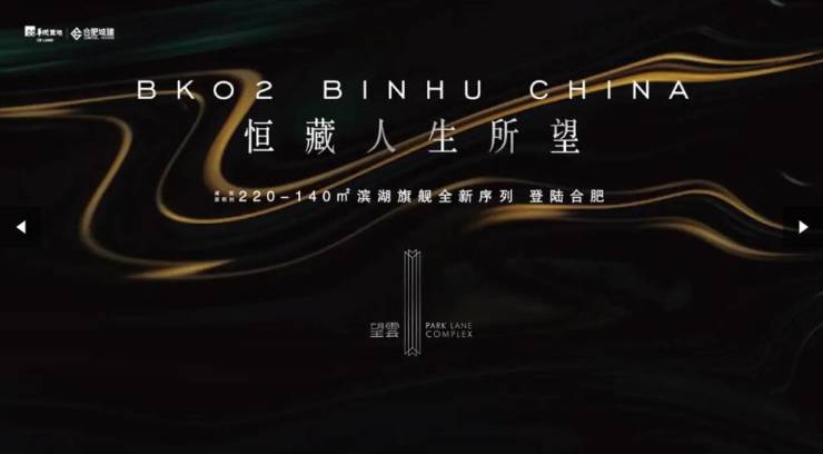 5年合肥买房必看的新盘开元棋牌望雲：202(图2)