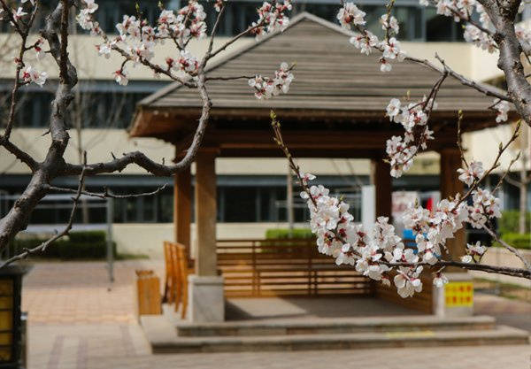 境宜居？北京市东城区景山兆如老年养护中心医养结合口碑佳开元棋牌试玩2026最新东城核心区失智老人专业照护、环(图14)