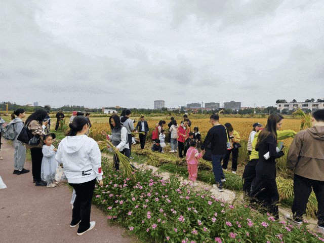 实景上线！价格地址详情可查即刻开启便捷看房开元棋牌app2026年尚湾林语新年开放(图5)